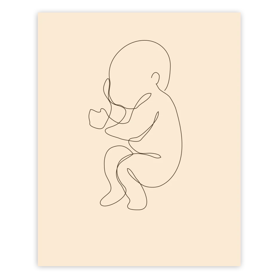 Baby Line Art